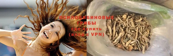 герыч Козельск
