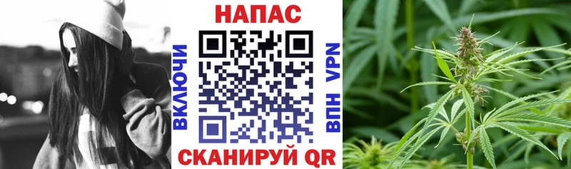 Купить где  Троицк  Каннабис планчик 